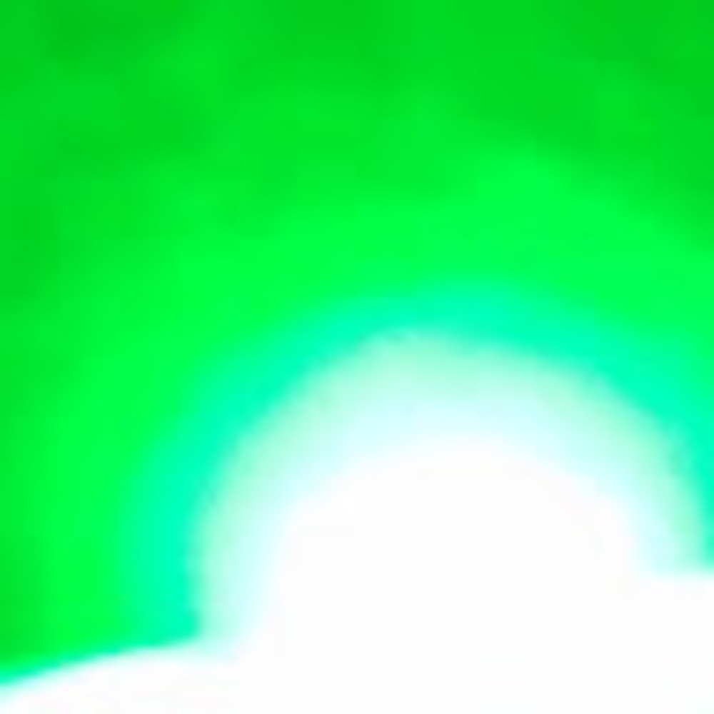 Meet your Posher, Peyton